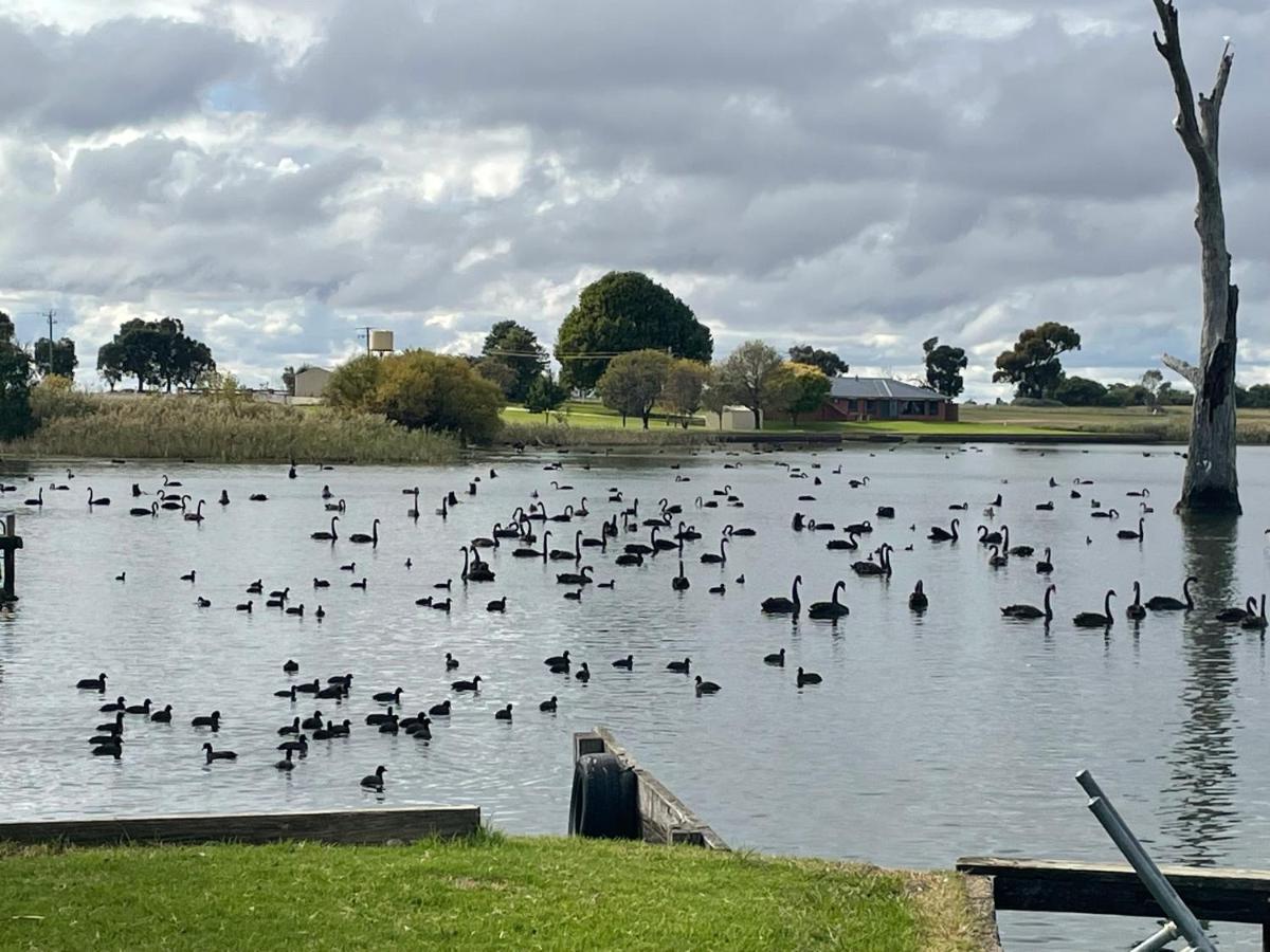 Tasman Holiday Parks - Lake Mulwala Exteriér fotografie